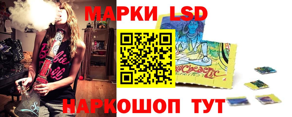  COCAIN Черняховск