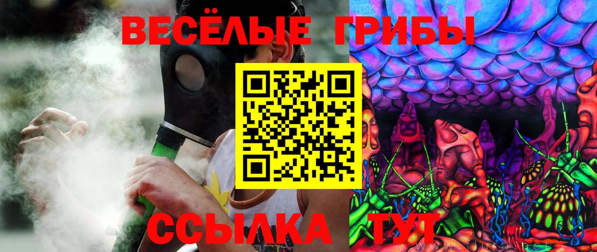 Черняховск  Псилоцибиновые грибы Magic Shrooms  Вход с VPN  Псилоцибиновые грибы прущие грибы 