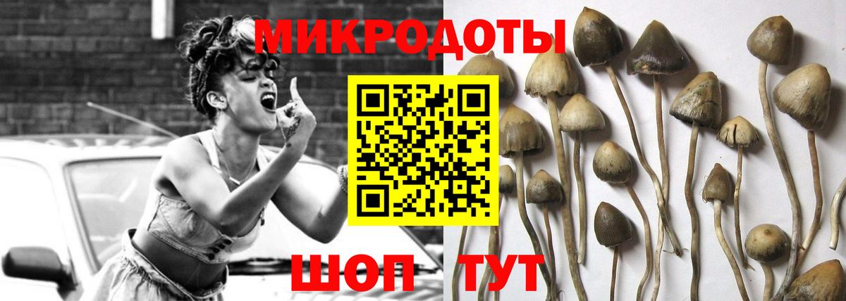 Галлюциногенные грибы ЛСД Черняховск